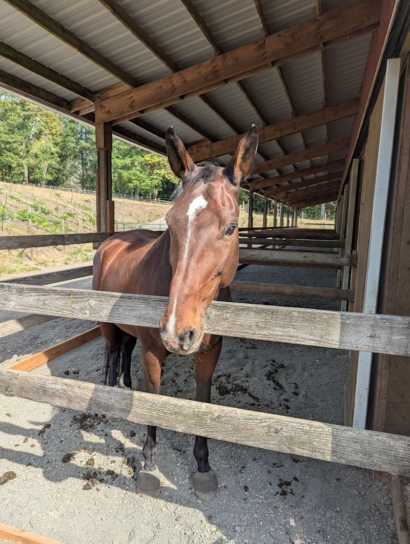 Photo of Deerpark Farm & Stables