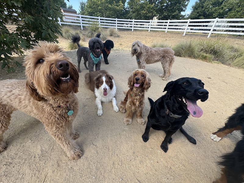 Elizabeth's Pet Sitting photo 3