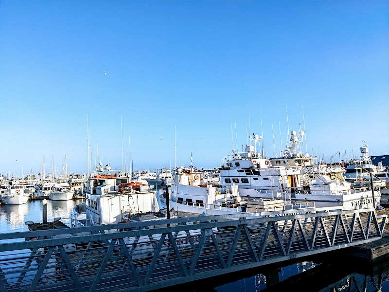 Point Loma Sportfishing photo 3