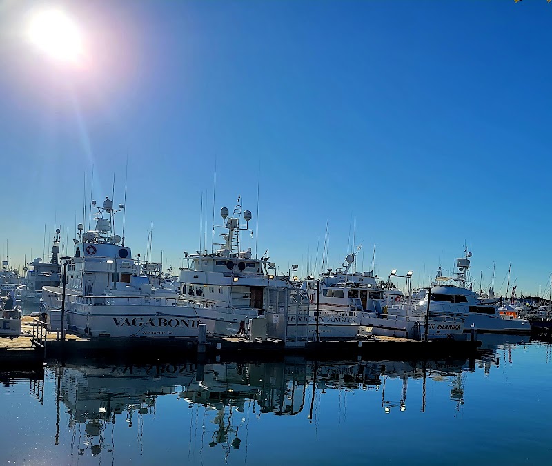 Point Loma Sportfishing photo 5