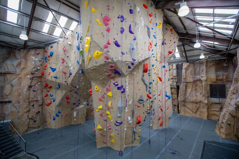 Photo of Movement Belmont