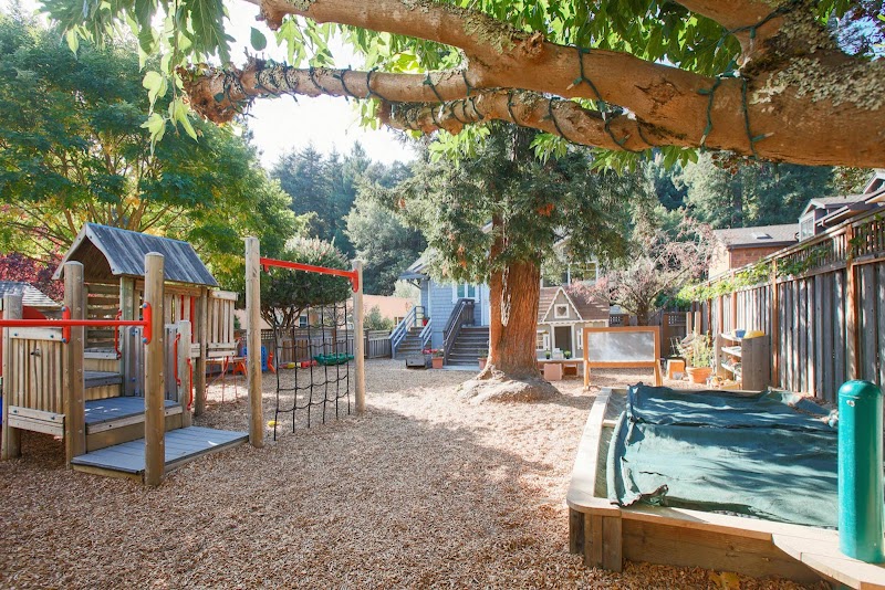 Bright Horizons at Mill Valley photo 3