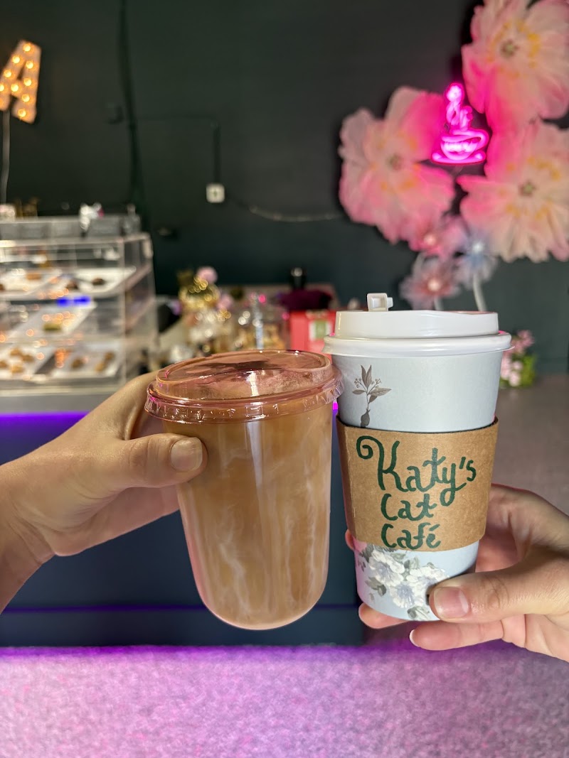 Photo of Katy's Cat Cafe
