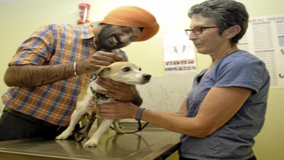 Photo of Vaca Valley Veterinary Hospital