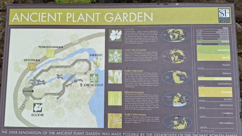 Ancient Plants Walk photo 5