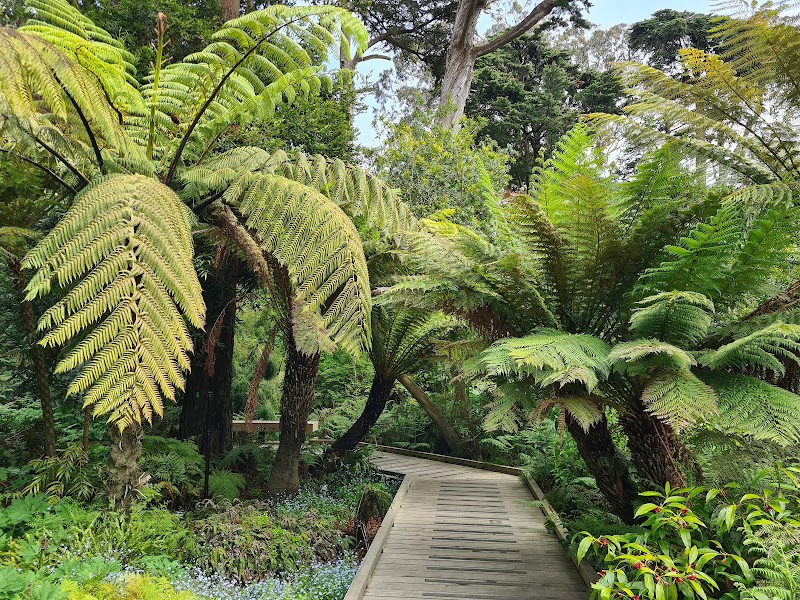 Photo of Ancient Plants Walk