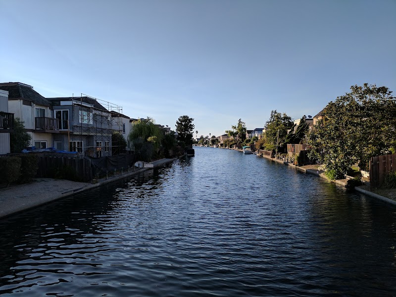 Shad Park photo 4