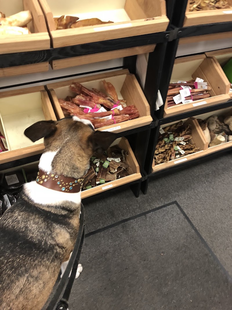 Pet People of Los Gatos Pet Supplies photo 3