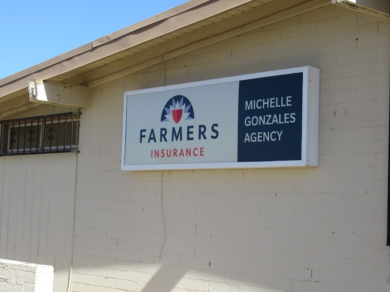 Farmers Insurance - Michelle Gonzales-Castro photo 2