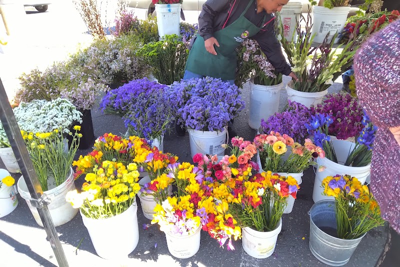 Morgan Hill Farmers' Market photo 3