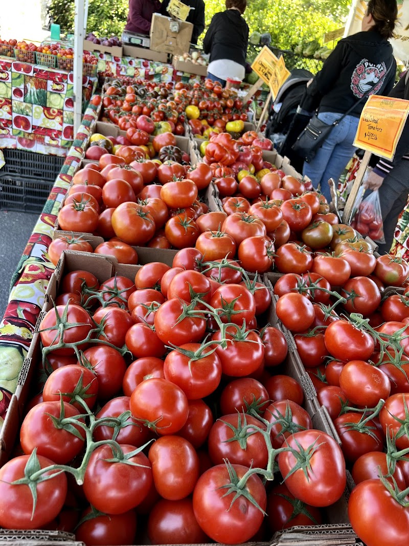Morgan Hill Farmers' Market photo 5