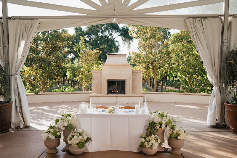 Scribner Bend Vineyards photo 2