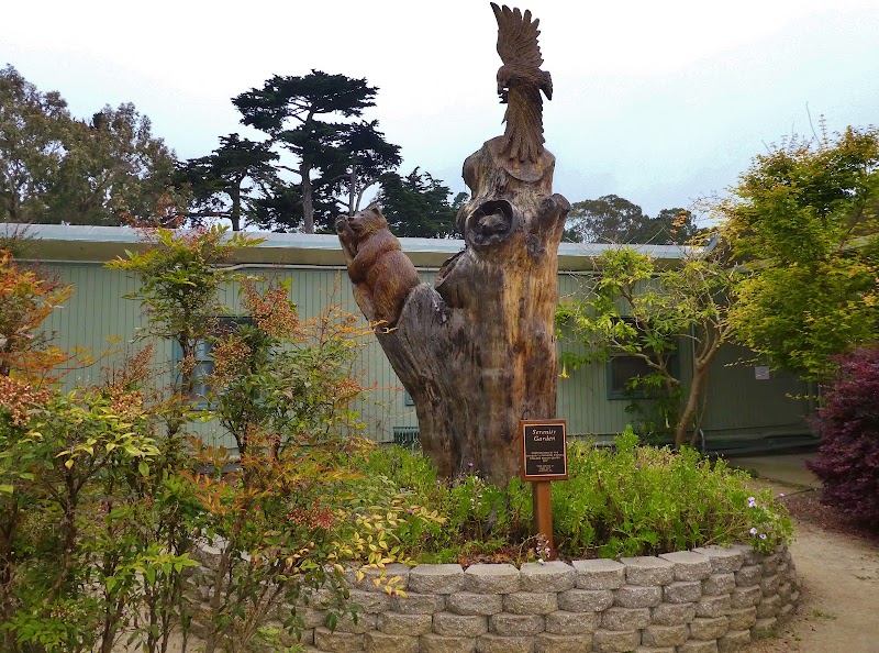 Daly City Department of Library & Recreation Services photo 2
