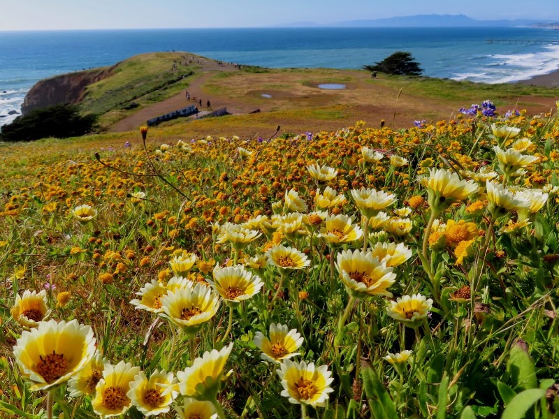 Photo of Mori Point Hiking Area