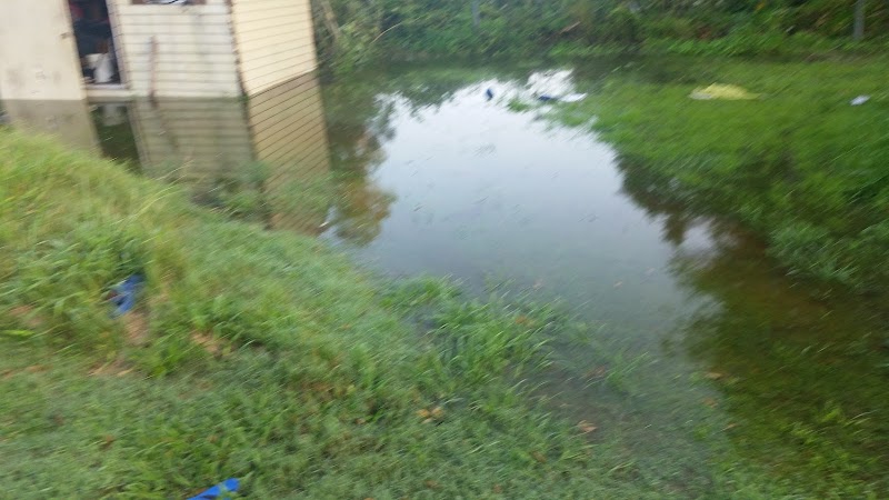Carver Recreation Center photo 5