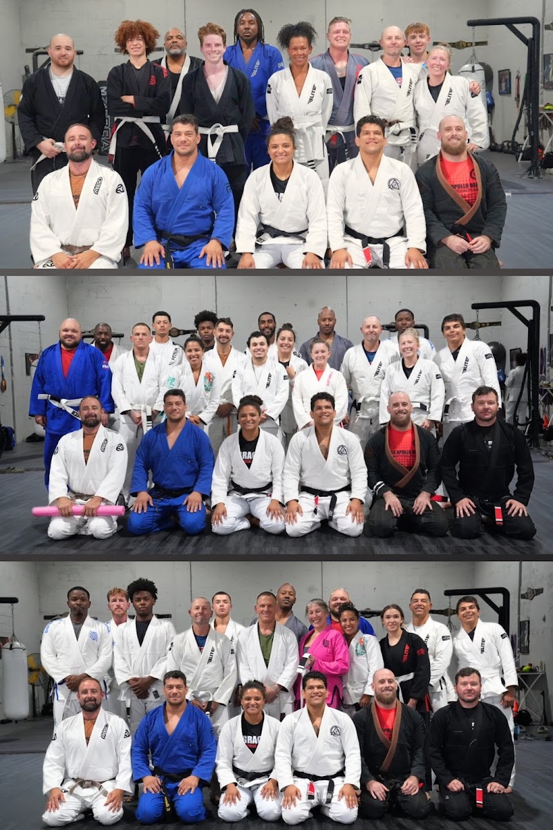 Gracie Apollo Beach photo 4