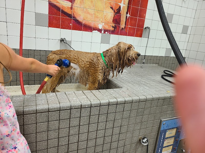 Pet Food Express photo 4