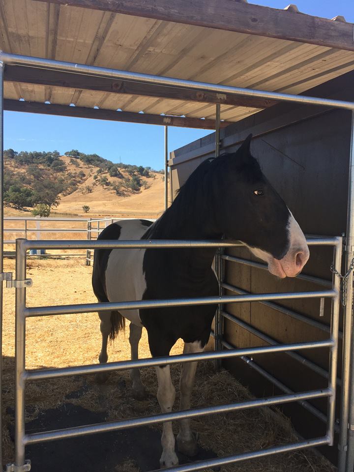 Coyote Canyon Ranch photo 4