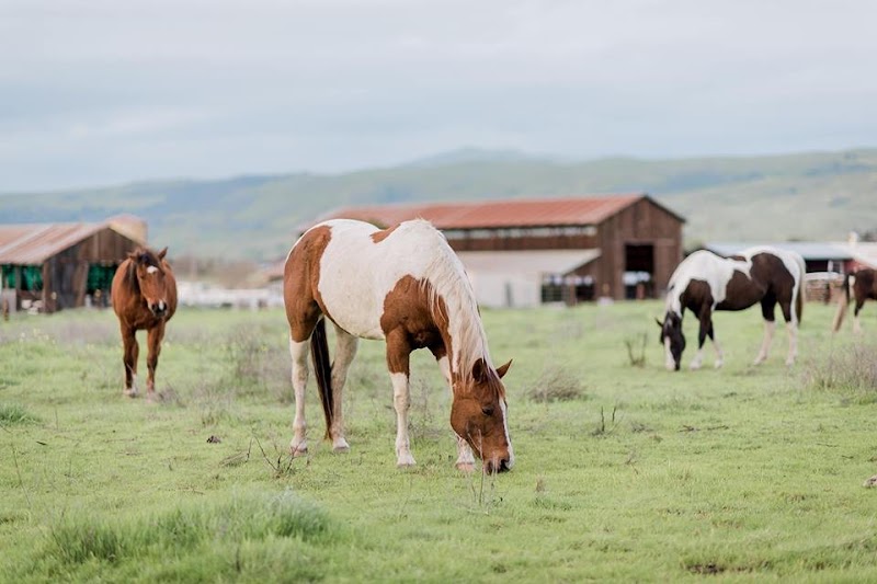 Coyote Canyon Ranch photo 3