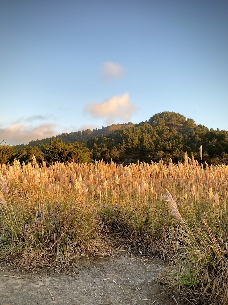 Pacifica Quarry Running Trail photo 5