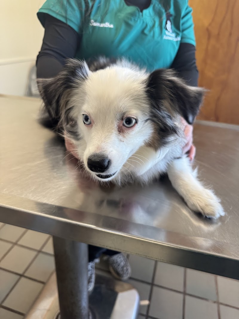Photo of Bushnell Animal Clinic