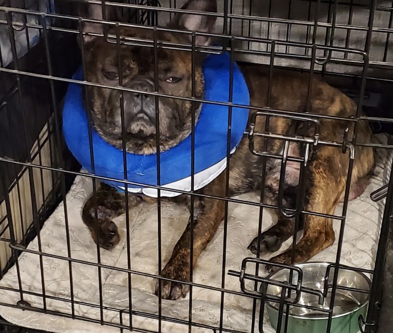 Bushnell Animal Clinic photo 5