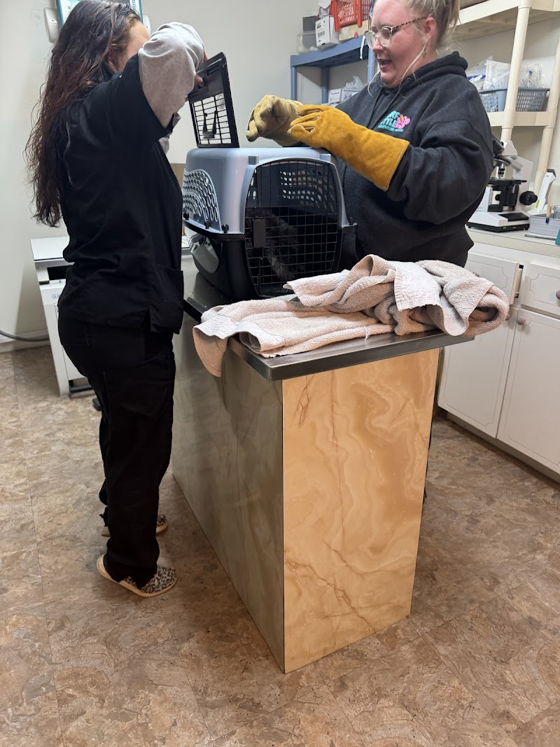 Bushnell Animal Clinic photo 3