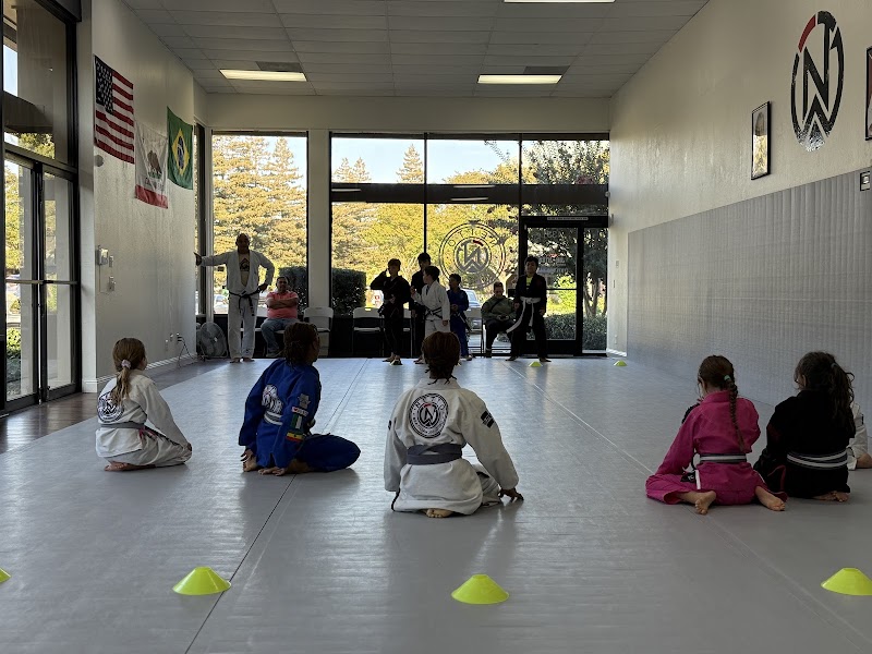 APEX JIU-JITSU FAIRFIELD ACADEMY photo 4