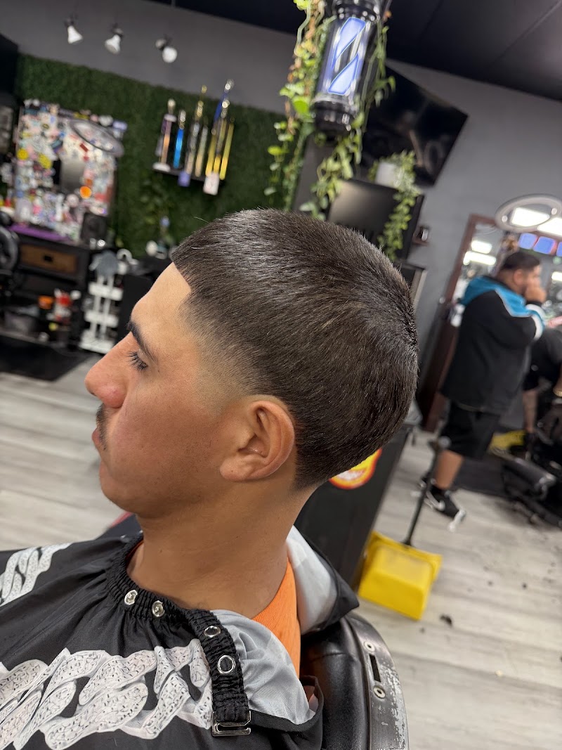 Barber.Chrissy photo 5