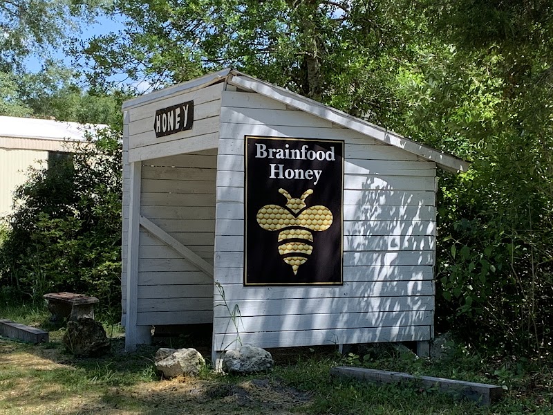 Brainfood Honey photo 5