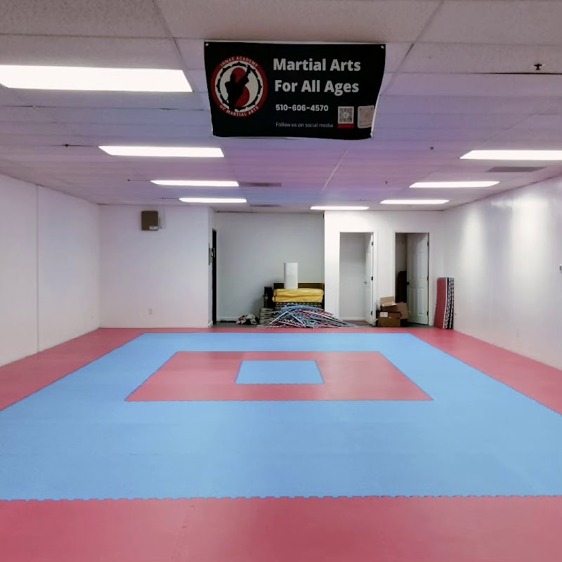 InNae Academy of Martial Arts LLC photo 5