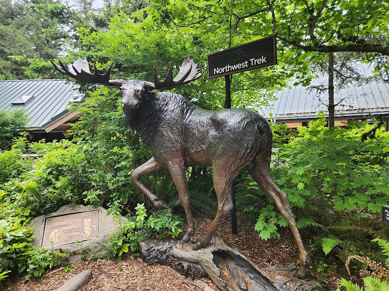Northwest Trek Wildlife Park photo 2