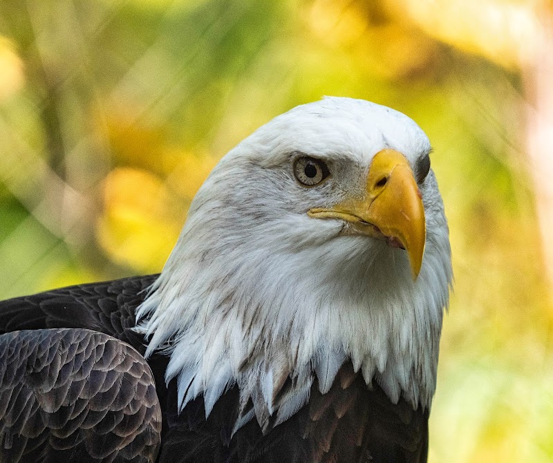 Northwest Trek Wildlife Park photo 5