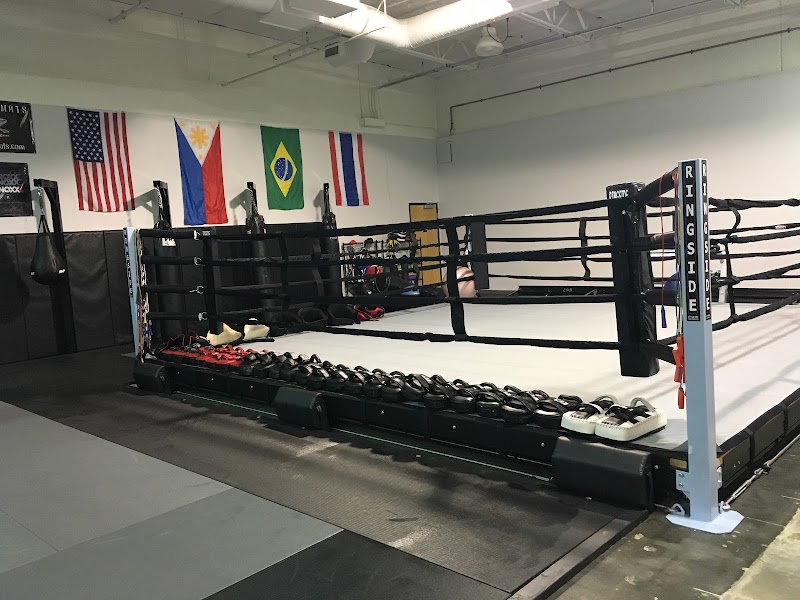 Bay Area Fight Academy photo 2