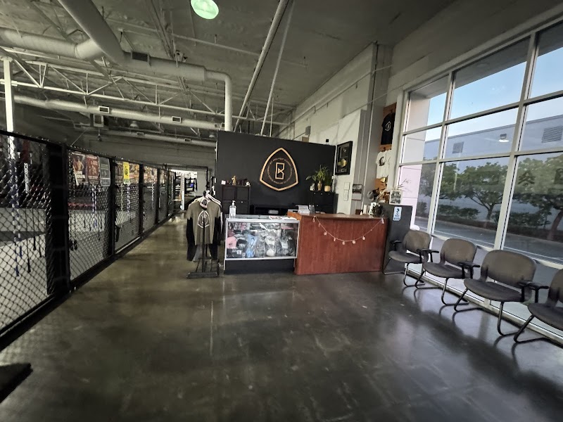 Bay Area Fight Academy photo 3