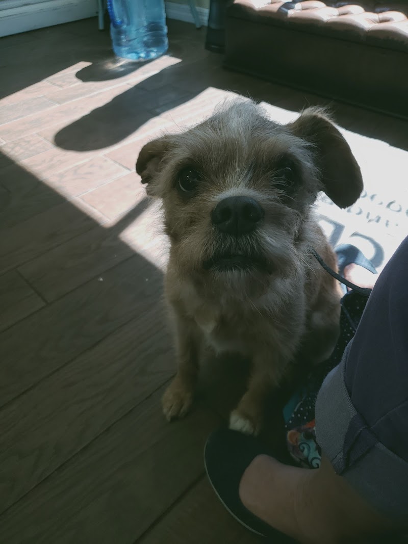 Photo of ASAP Animal Clinic