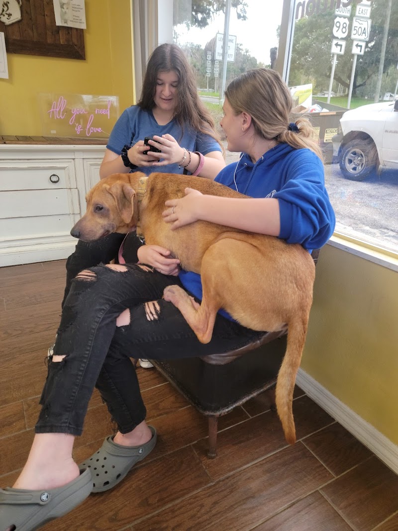 ASAP Animal Clinic photo 4