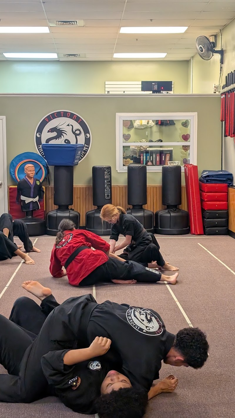 Photo of Victory Martial Arts Riverview