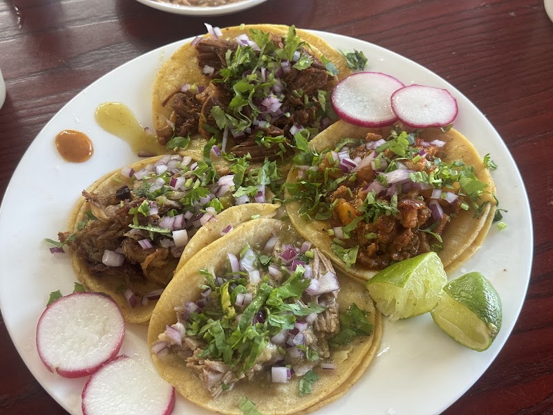 MONARCA MEXICAN TAQUERIA photo 3