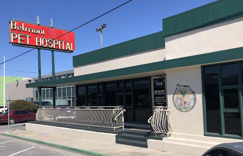 Photo of Belmont Pet Hospital