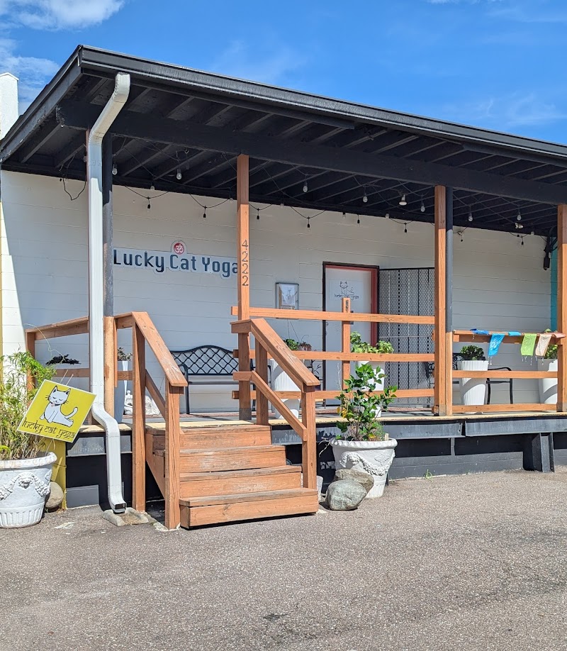 Lucky Cat Yoga Studio & Wellness: Seminole Heights photo 4