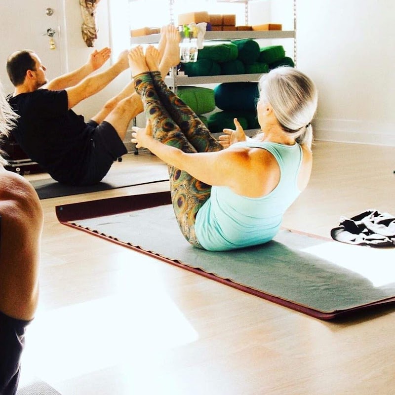 Lucky Cat Yoga Studio & Wellness: Seminole Heights photo 5