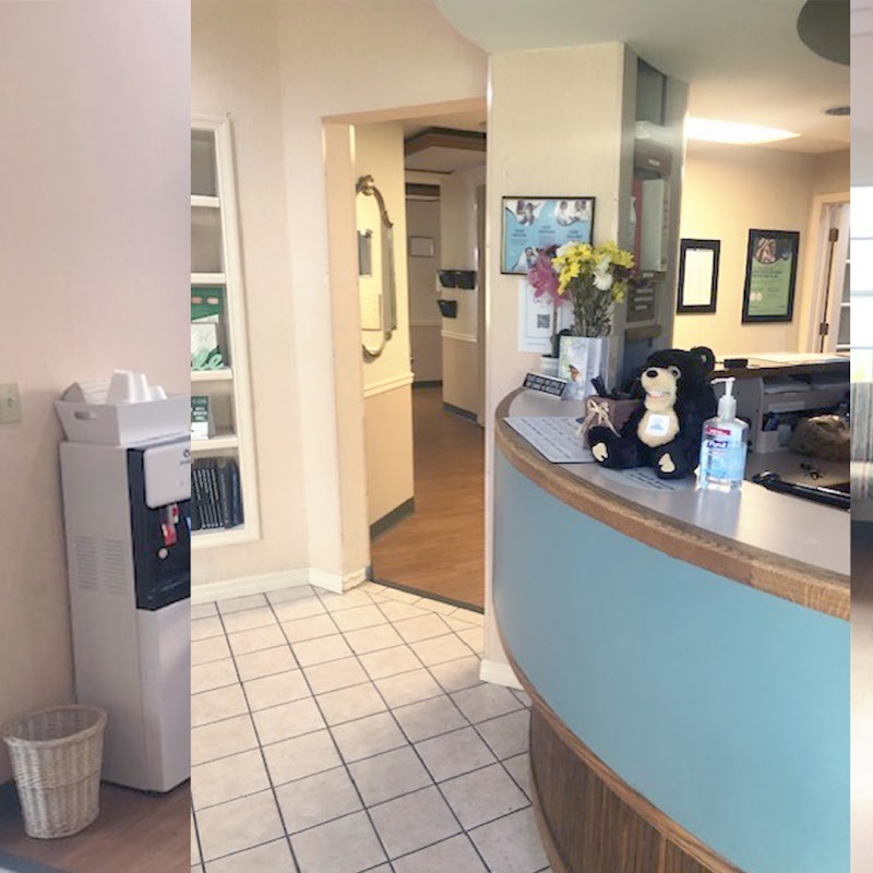 Great Expressions Dental Centers - Belleair Bluffs photo 4