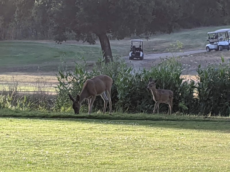 Redwood Canyon Golf Course photo 3
