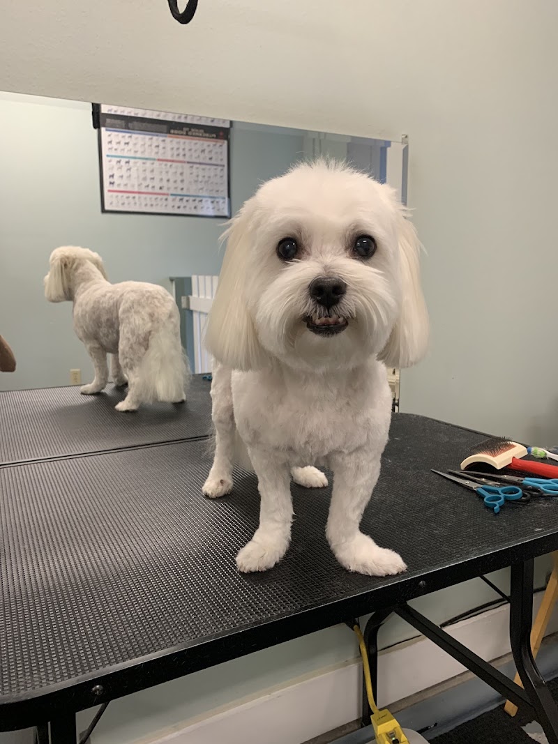 Photo of Canine Country Club
