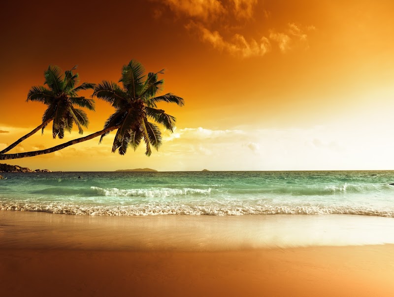 Photo of Destination Florida Realty, Inc.