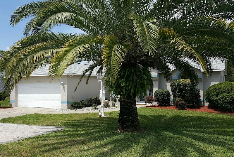 Destination Florida Realty, Inc. photo 2