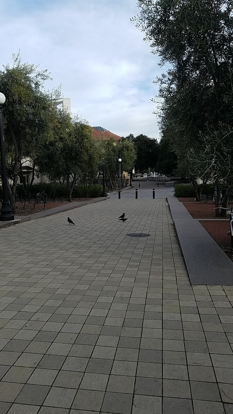 Leland Stanford Junior University photo 2