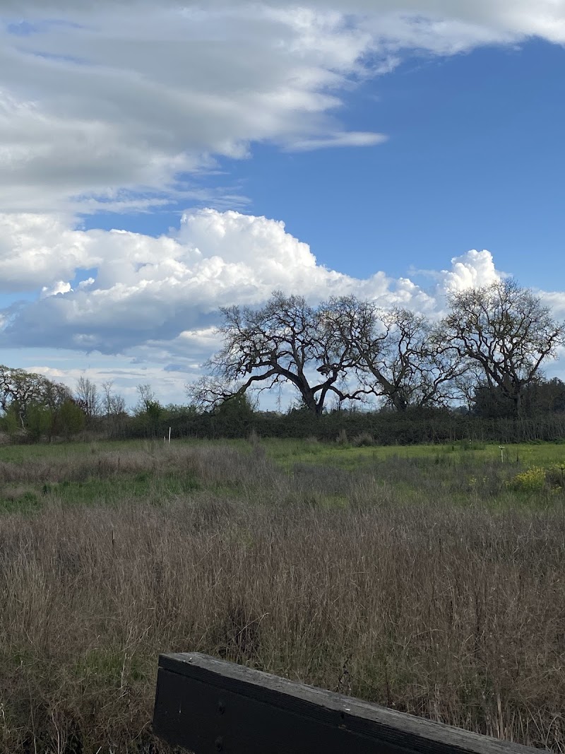 Joe Rodota Trail photo 3
