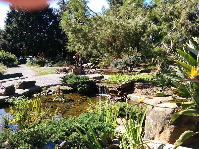 Dragonfly Habitat Garden photo 3